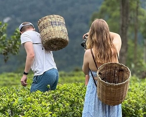 Hill Country Wonders 8